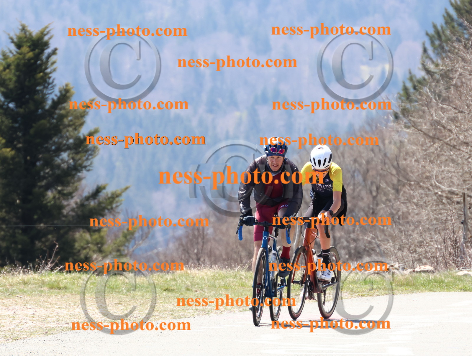 Col du Grand Colombier (171).JPG