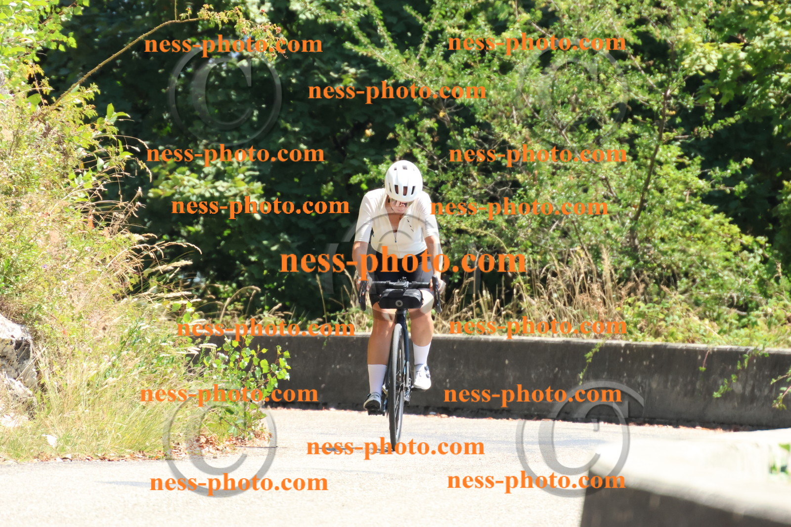 Col du Grand Colombier (463).JPG