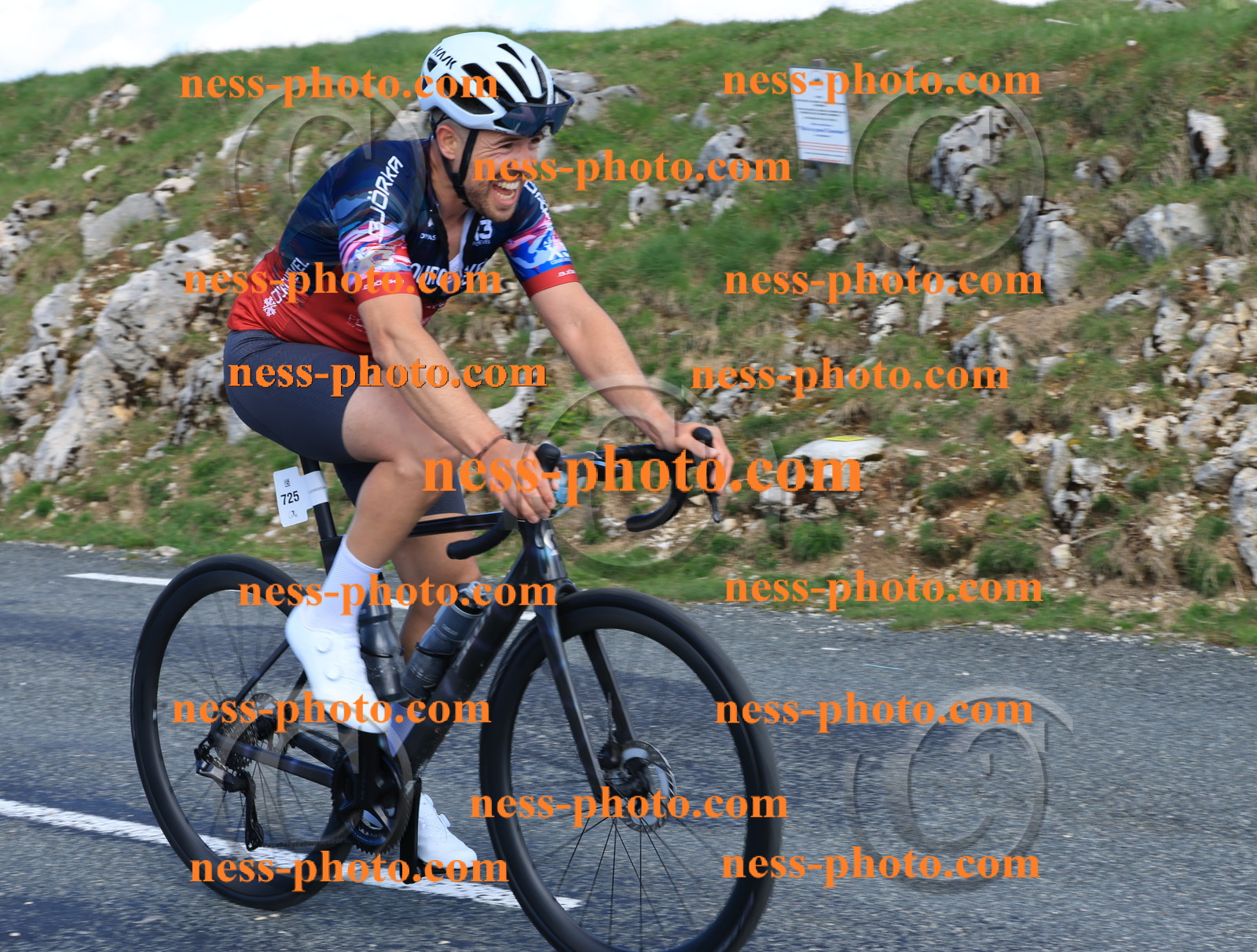 Col du Grand Colombier (296).JPG