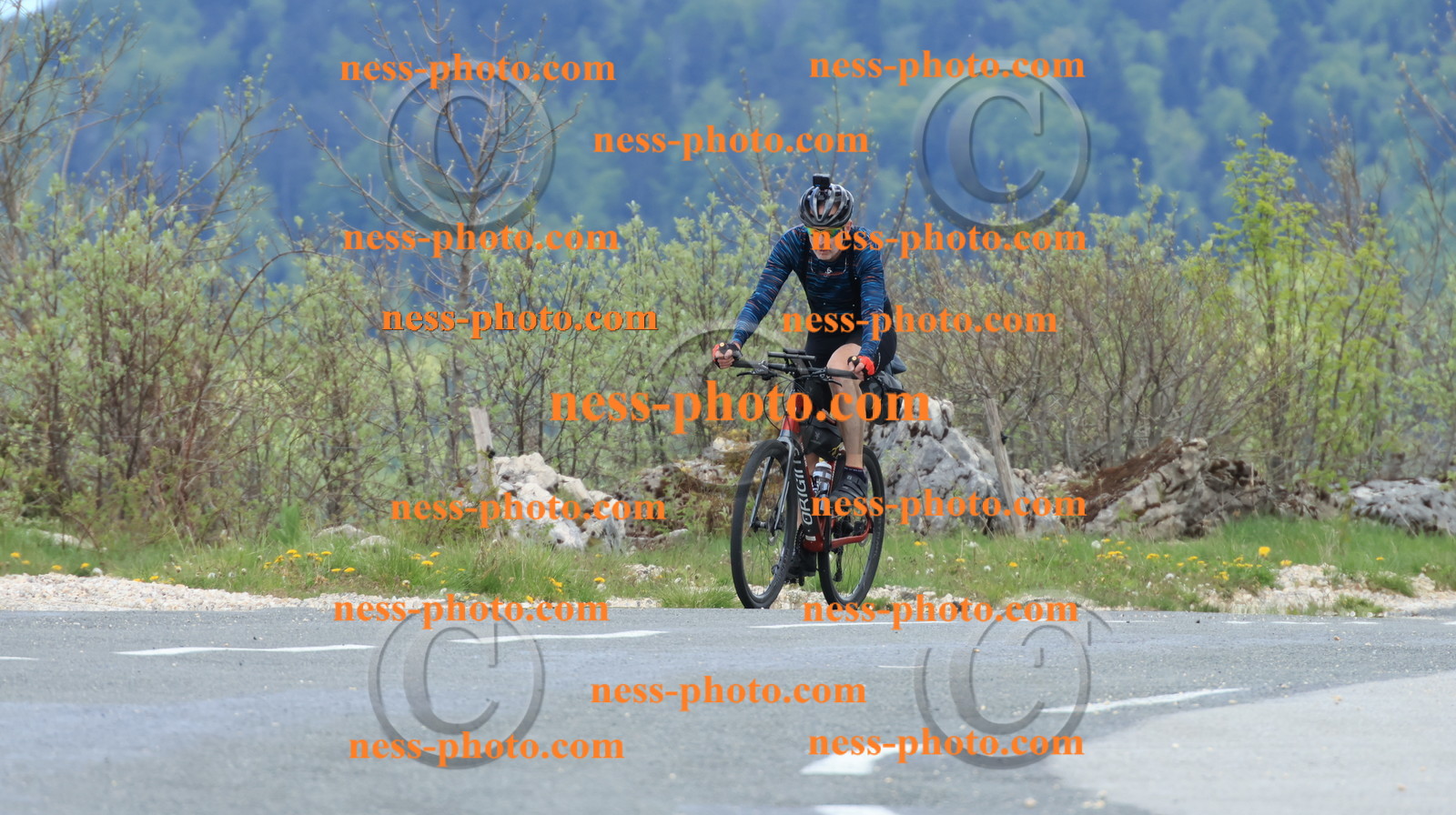 Col du grand Colombier (481).JPG