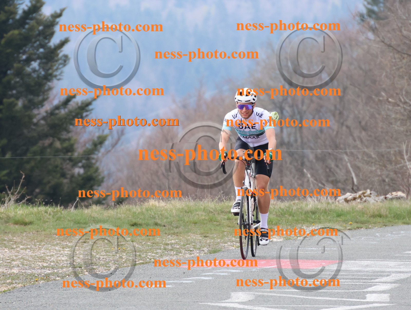 Col du Grand Colombier (141).JPG