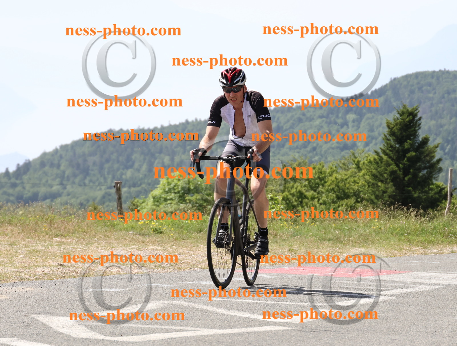 Col du grand Colombier (1336).JPG