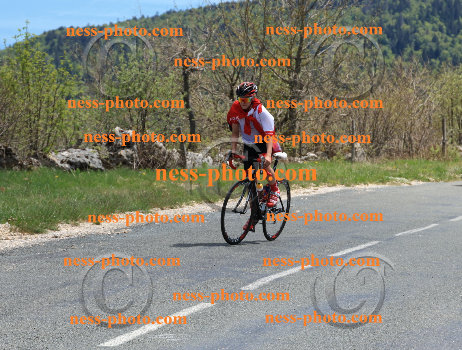 Col du Grand Colombier (521).JPG