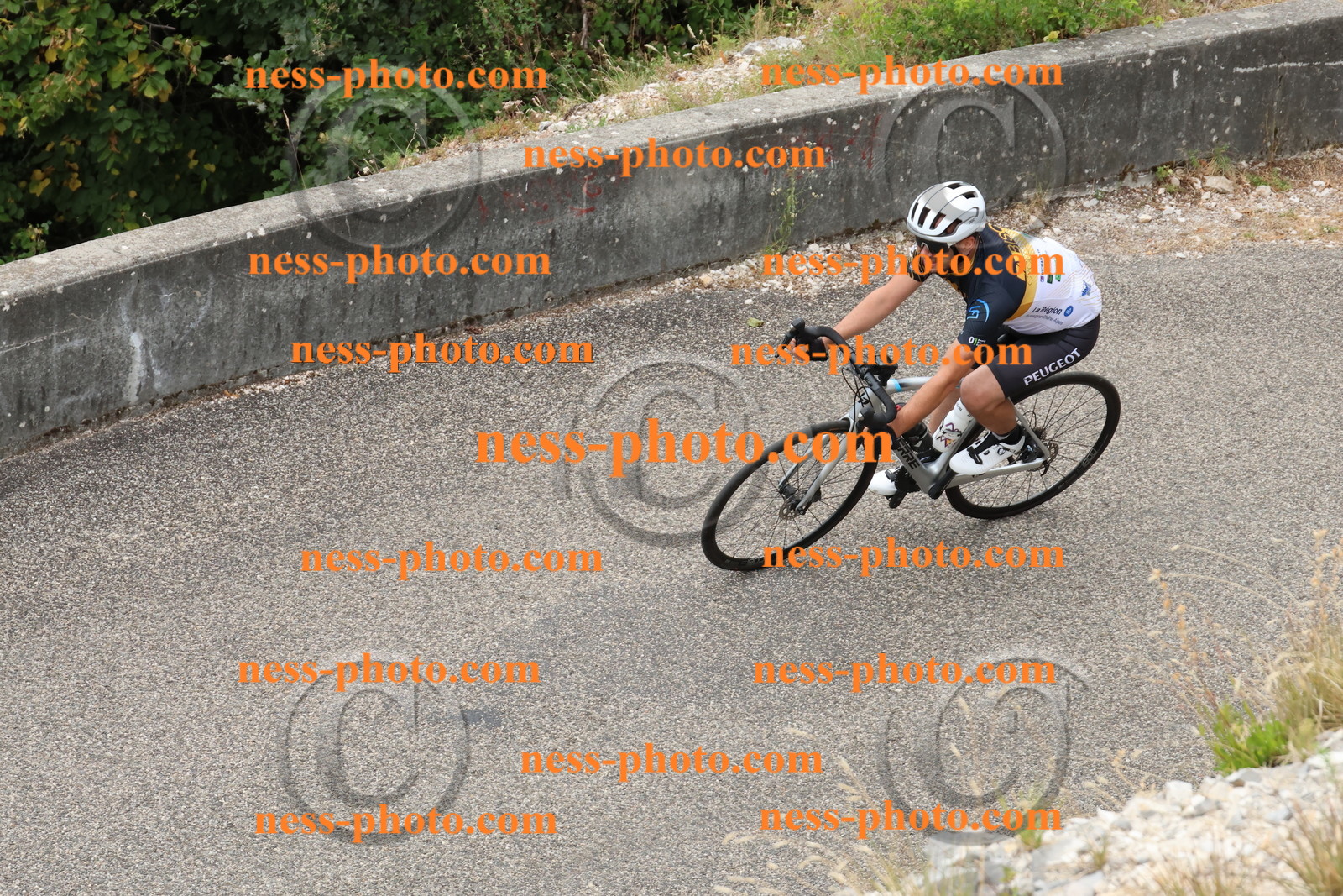 Col du Grand Colombier  (820).JPG