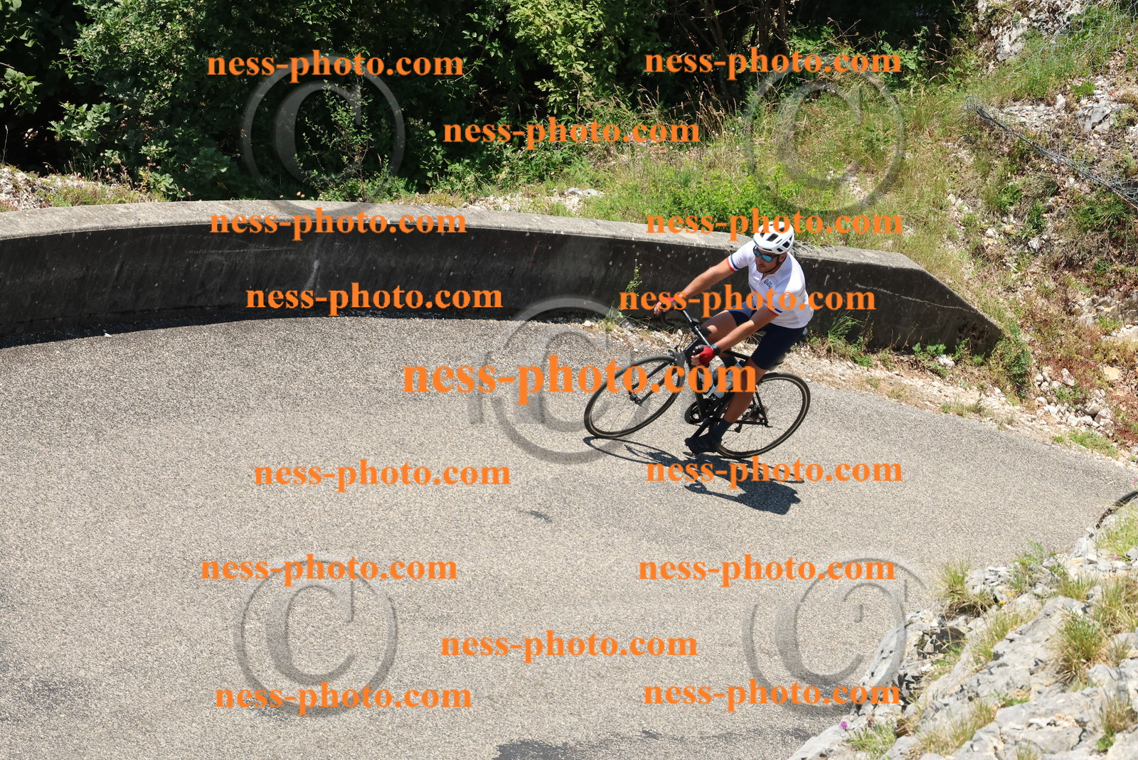 Col du Grand Colombier (497).JPG