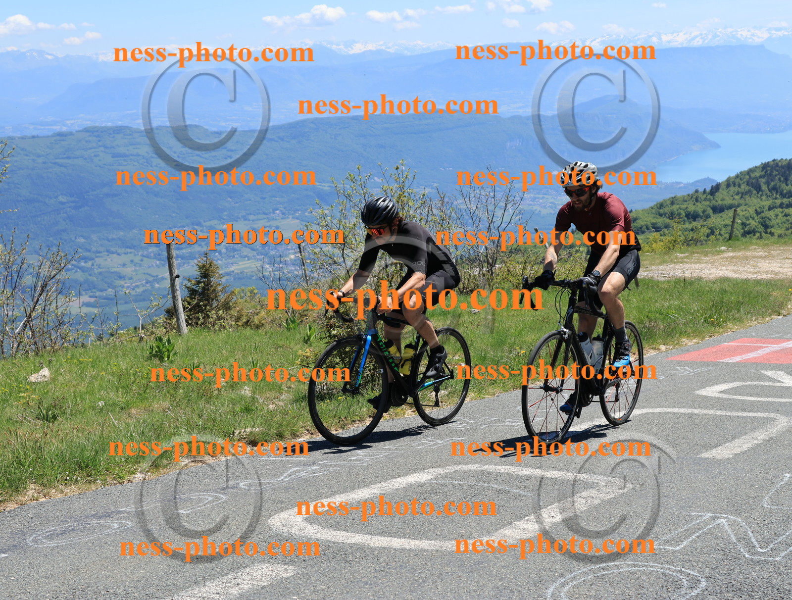 Col du Grand Colombier (448).JPG