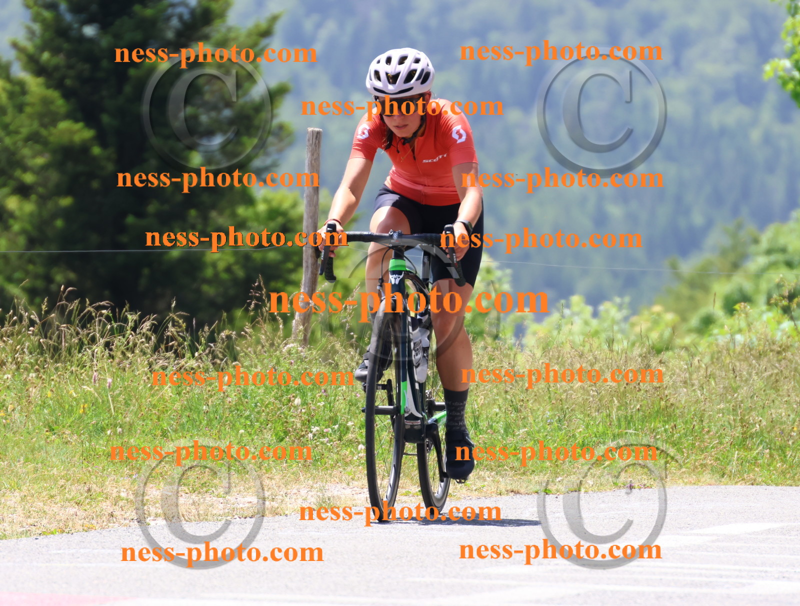 Col du grand Colombier (2716).JPG