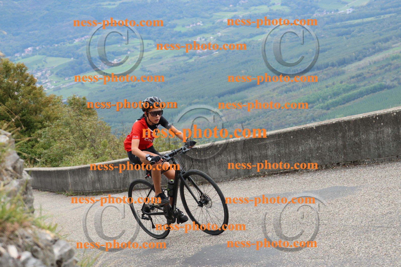 Col du Grand Colombier (2427).JPG