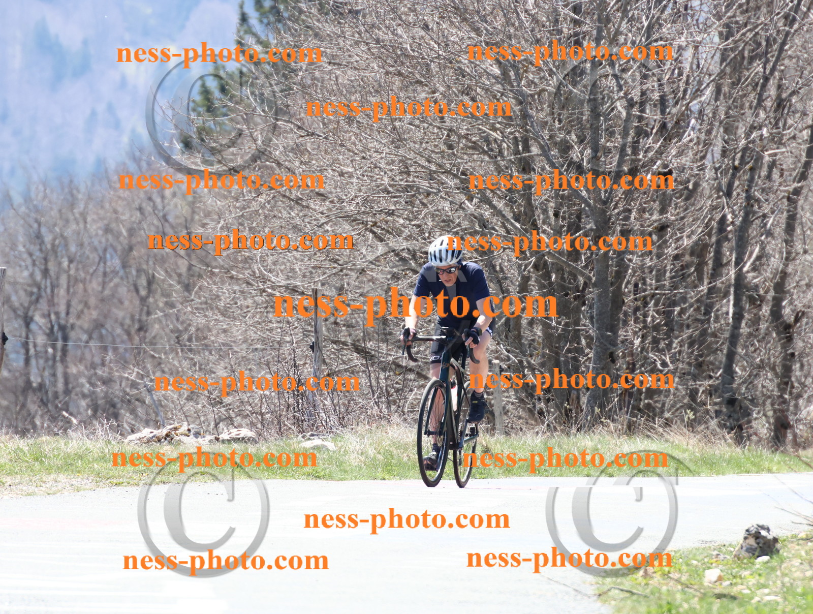 Col du Grand Colombier (180).JPG