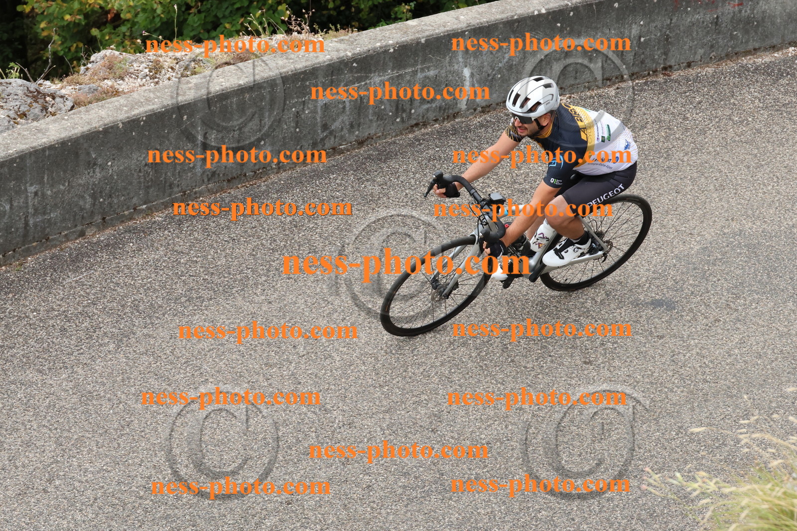 Col du Grand Colombier  (821).JPG