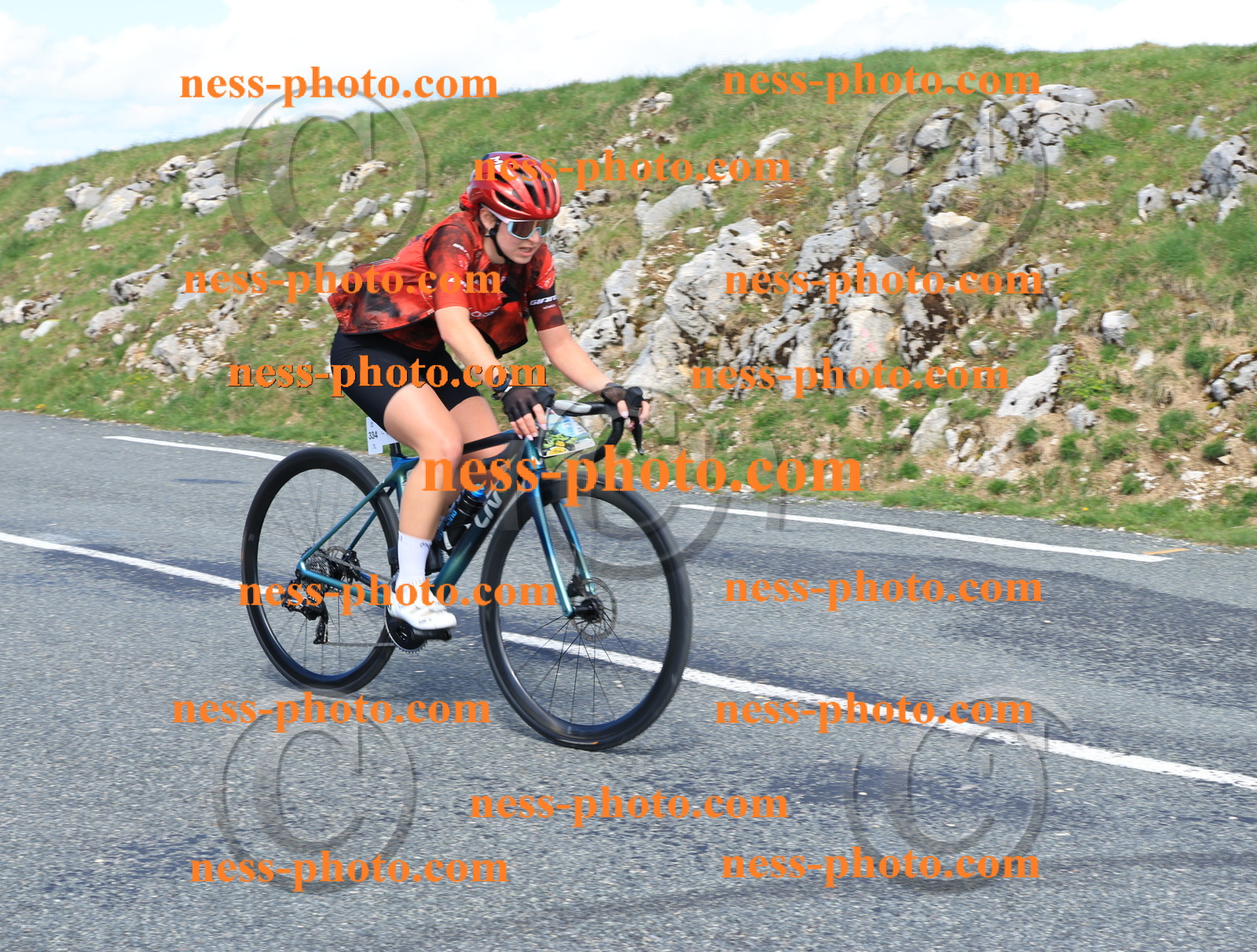 Col du Grand Colombier (810).JPG