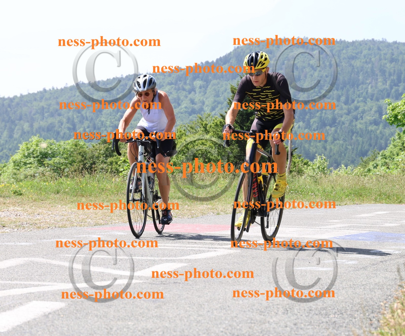Col du grand Colombier (1466).JPG