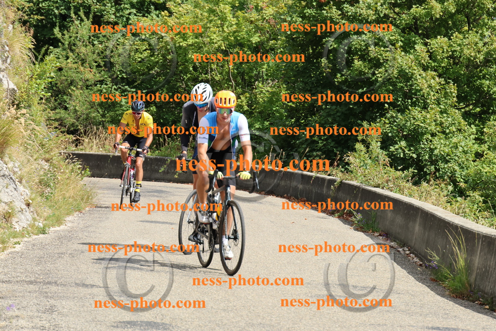 Col du Grand Colombier (457).JPG