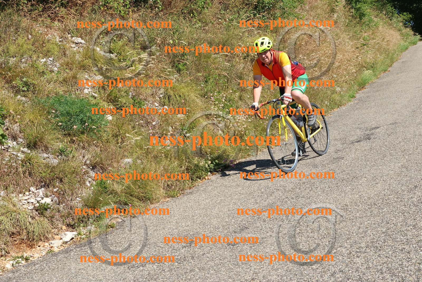 Col du Grand Colombier (326).JPG