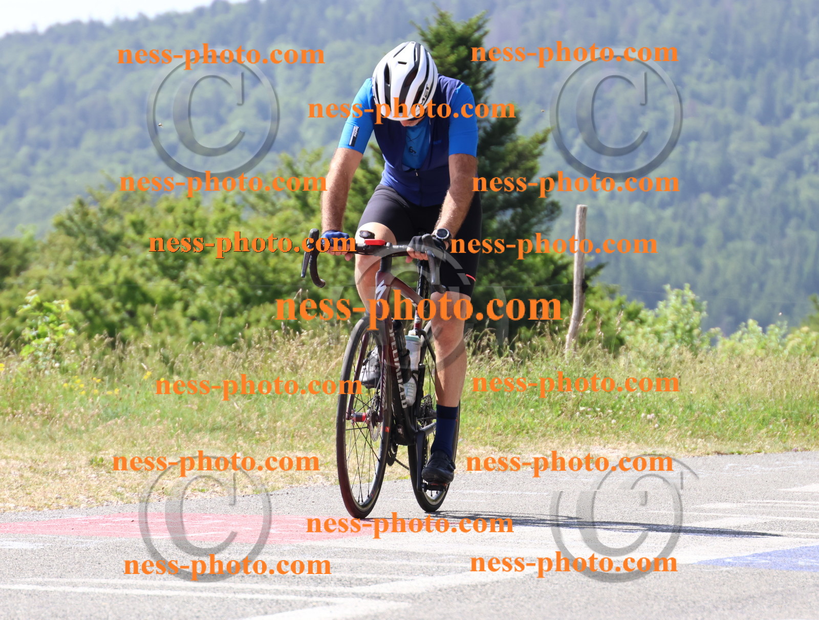 Col du grand Colombier (1139).JPG