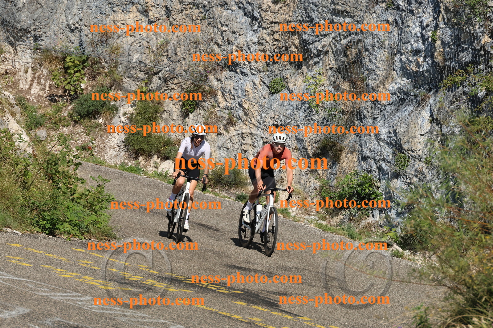 Col du Grand Colombier (315).JPG