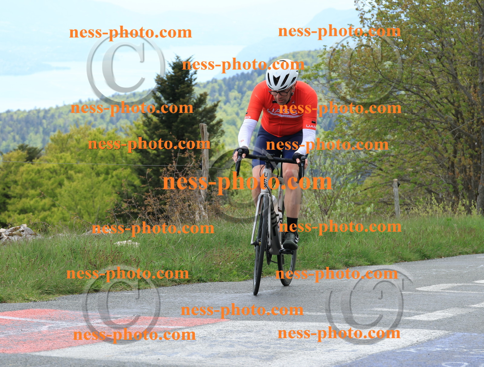 Col du Grand Colombier (580).JPG