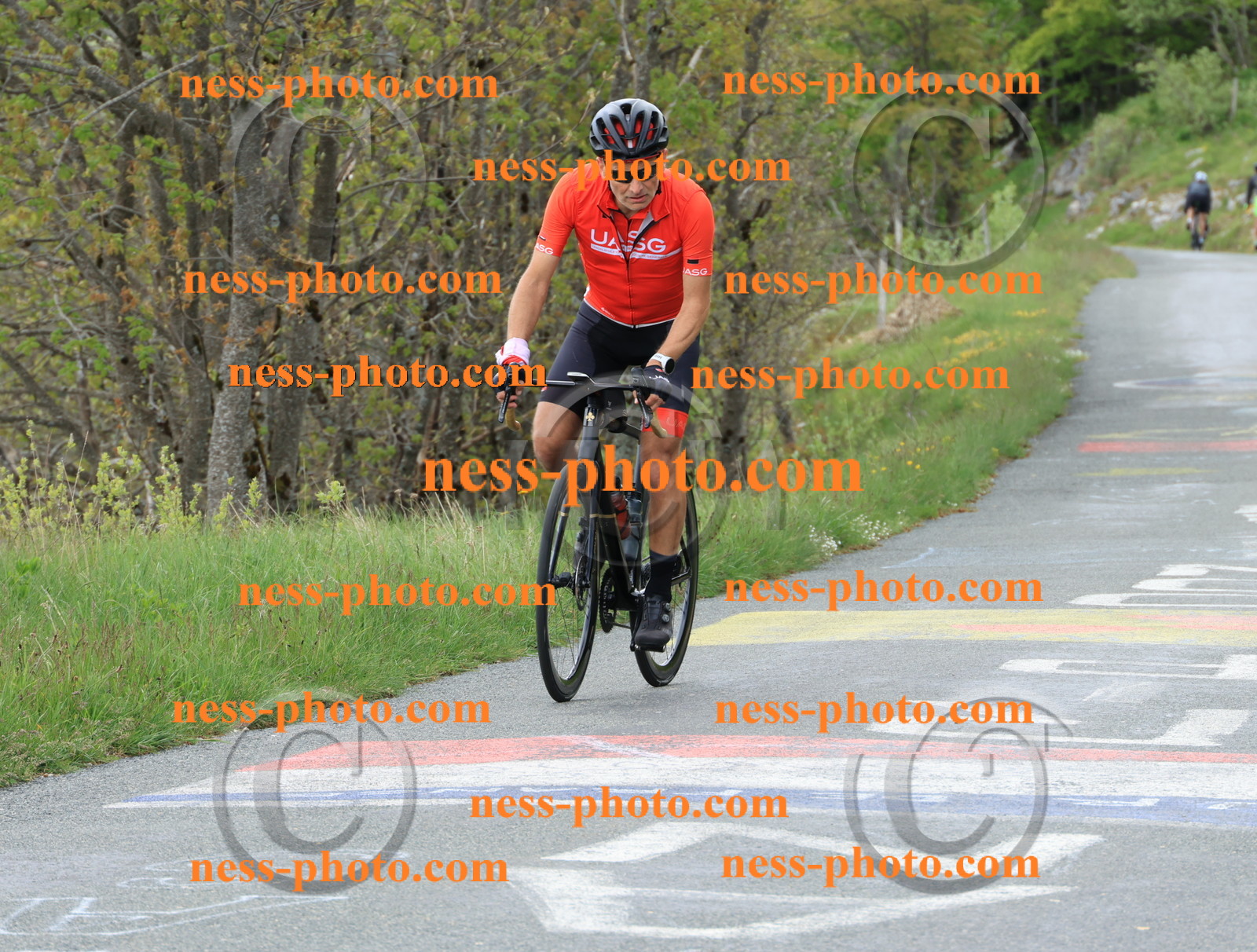 Col du Grand Colombier (618).JPG