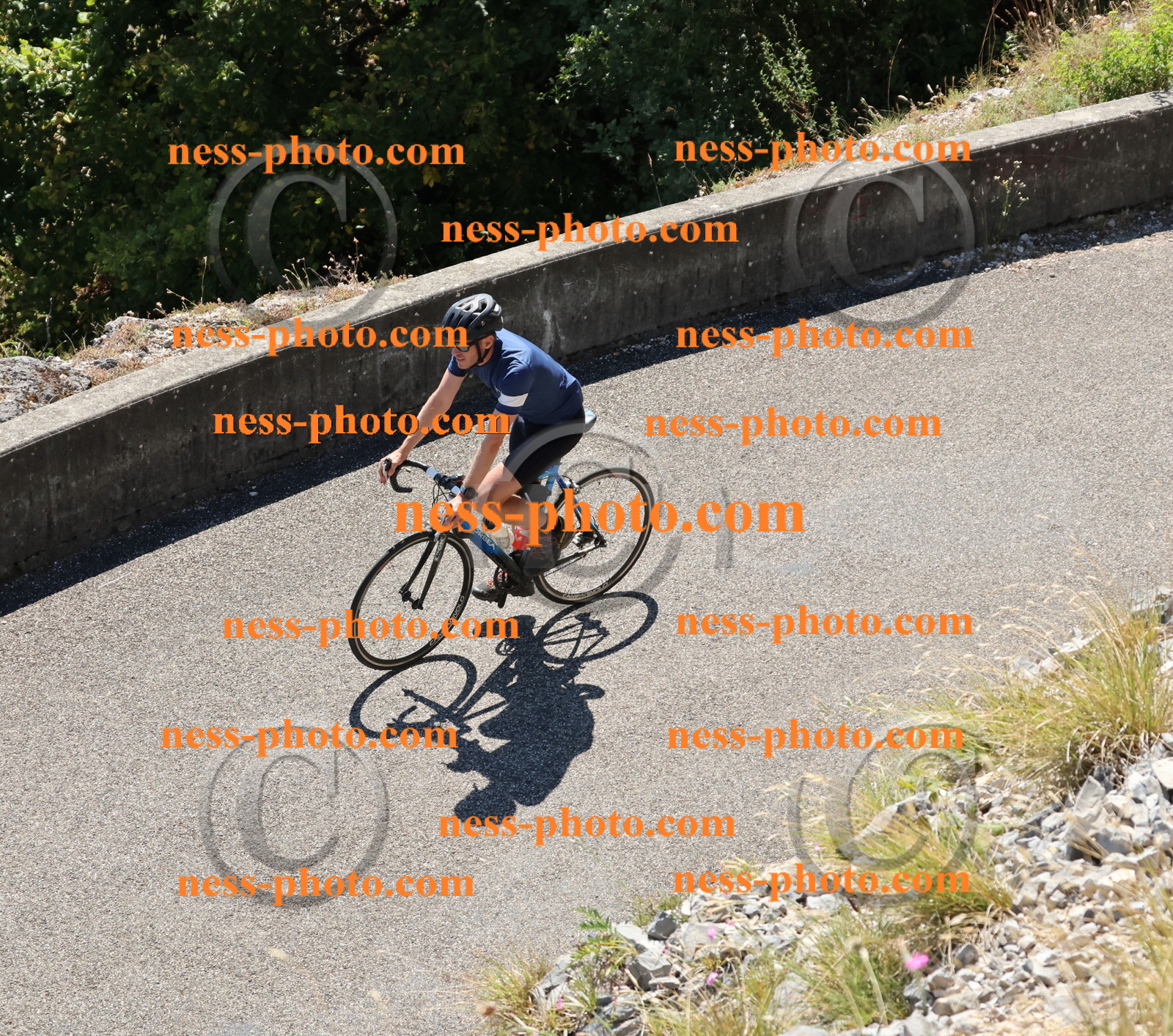 Col du Grand Colombier (654).JPG