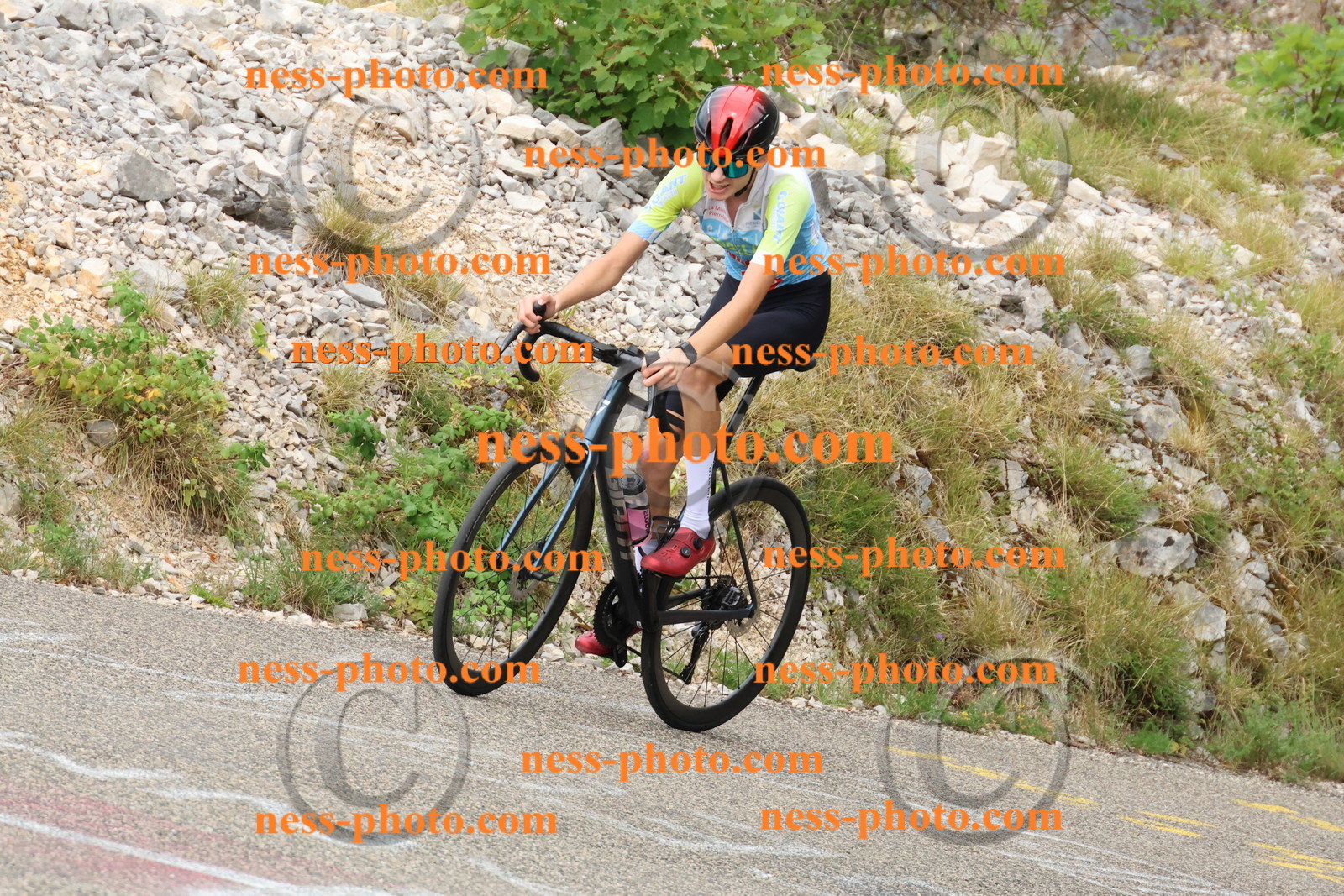 Col du Grand Colombier  (500).JPG