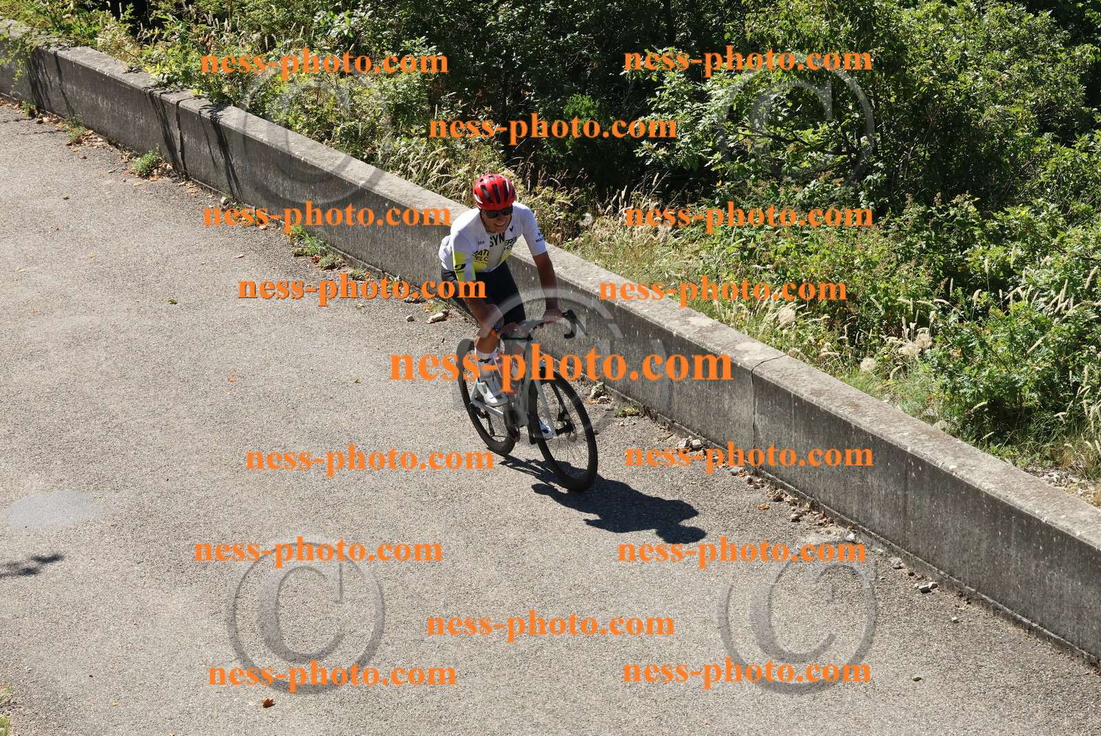 Col du Grand Colombier (215).JPG