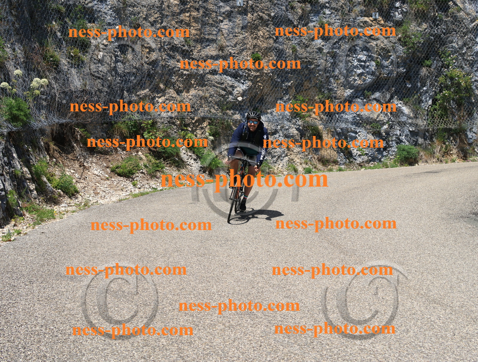 Col du Grand Colombier (637).JPG