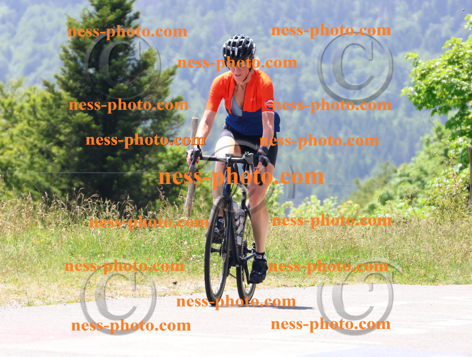 Col du grand Colombier (2678).JPG