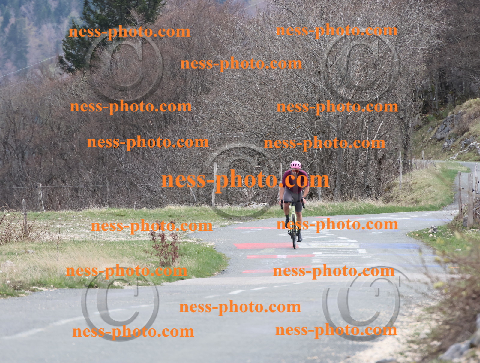 Col du Grand Colombier (402).JPG