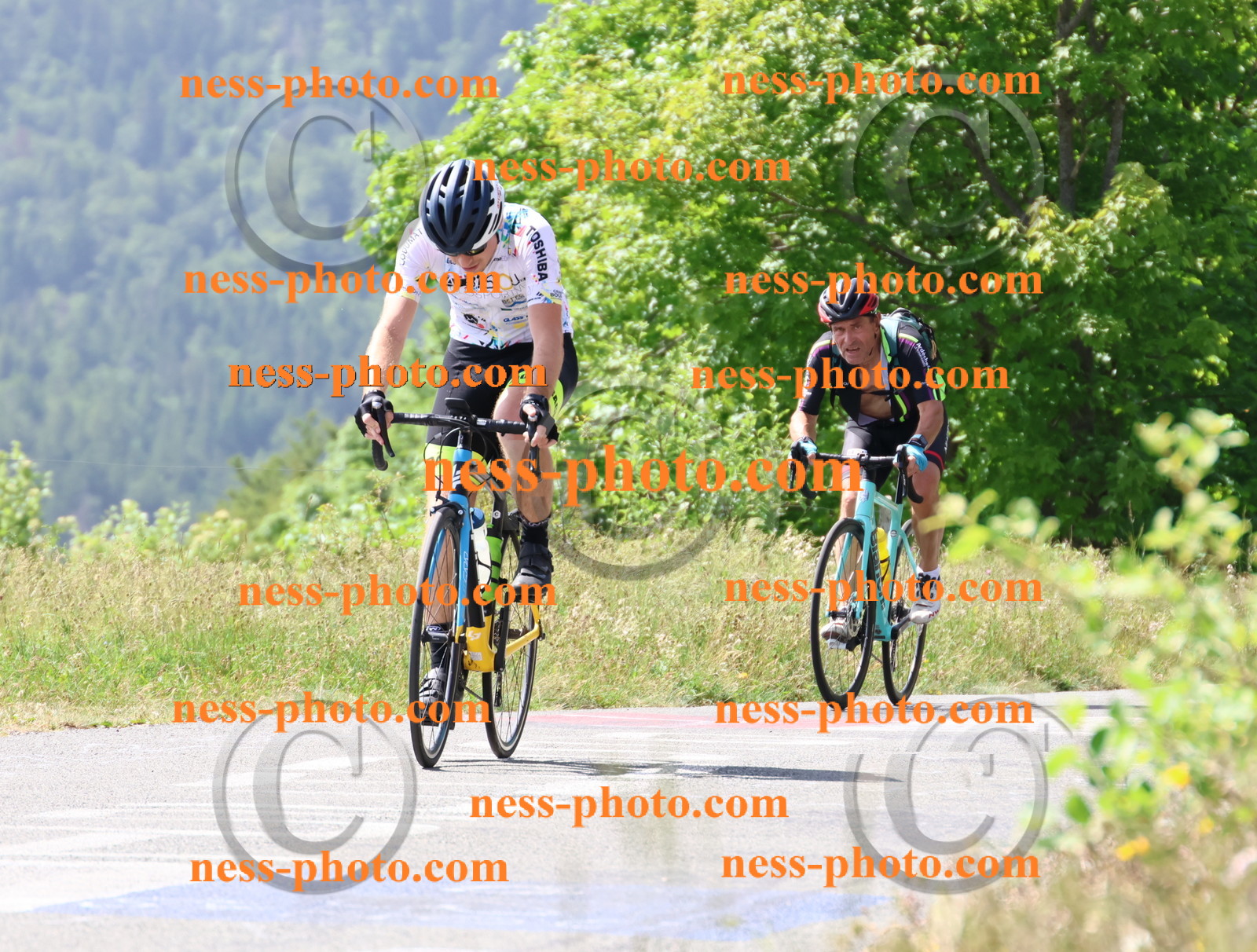 Col du grand Colombier (1476).JPG