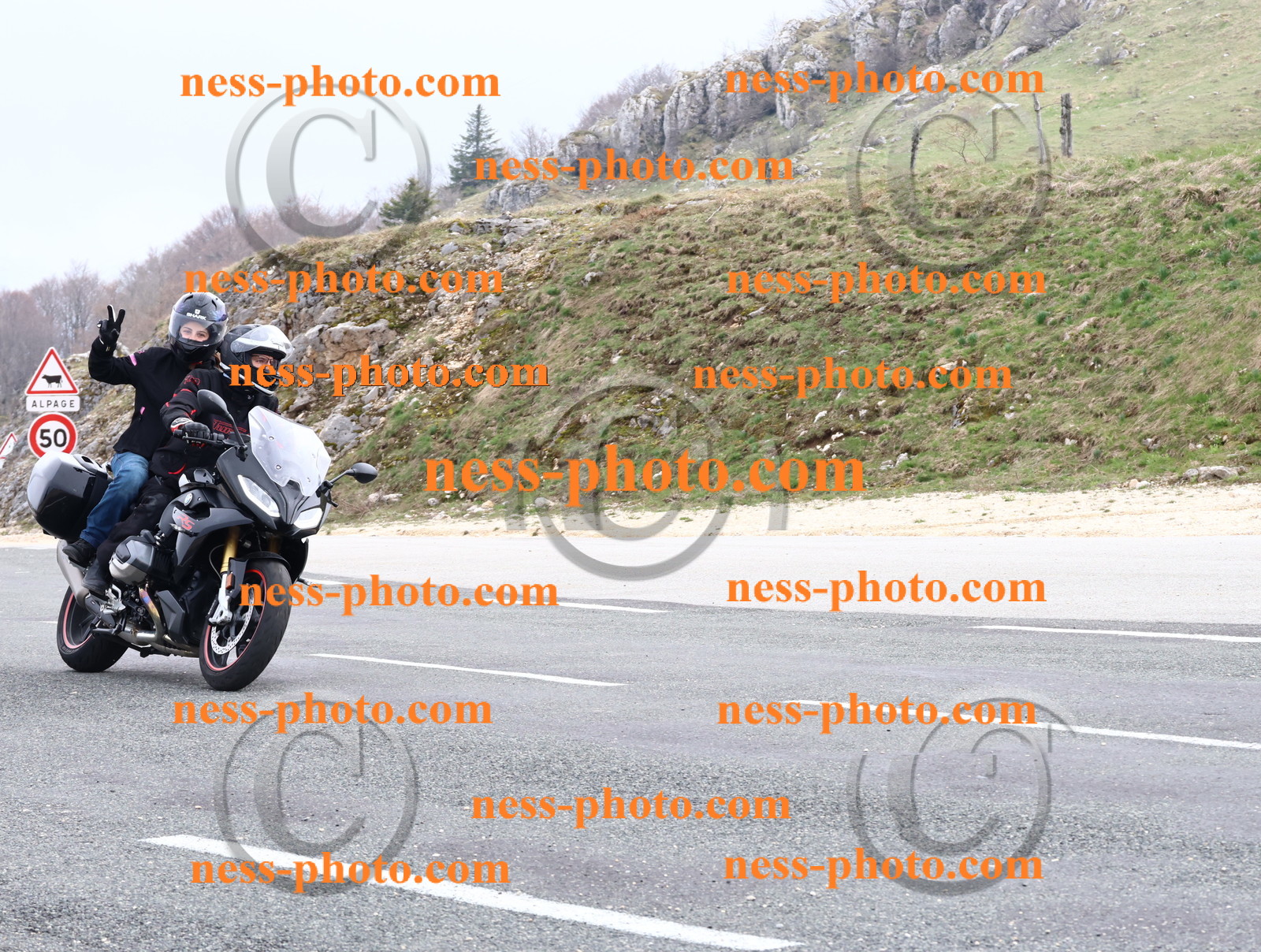 Col du Grand Colombier (42).JPG