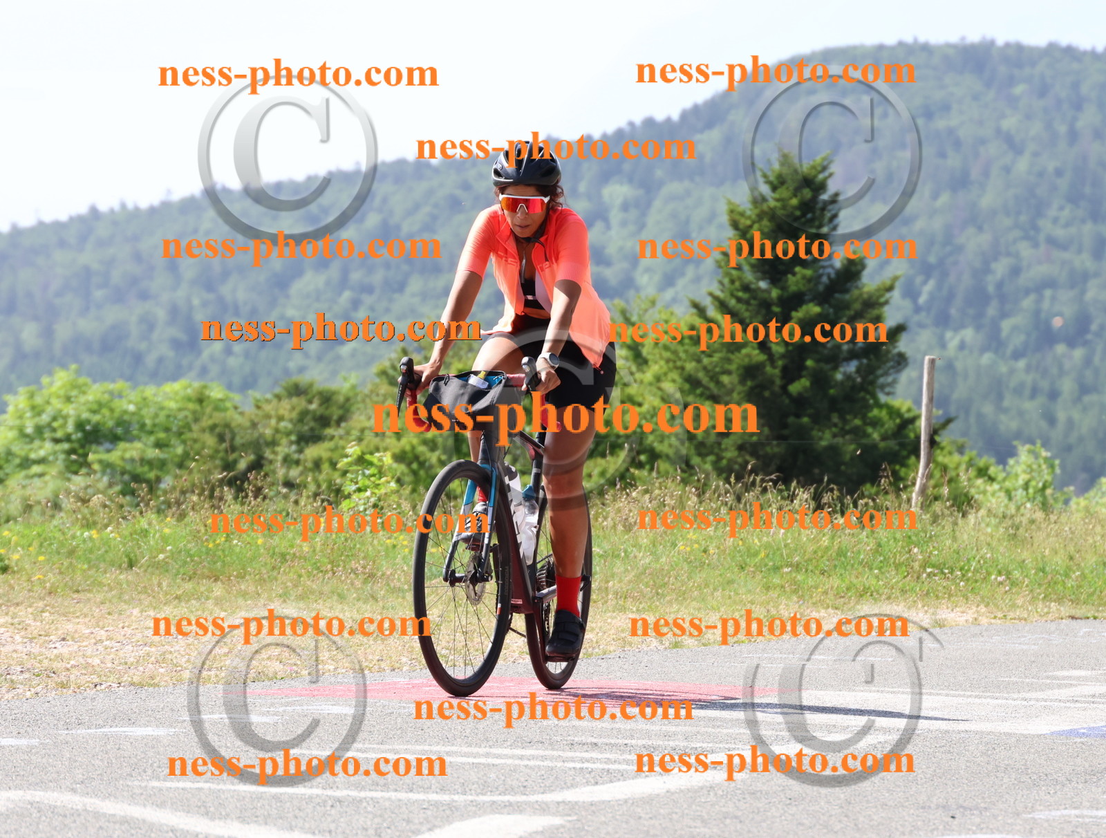 Col du grand Colombier (978).JPG