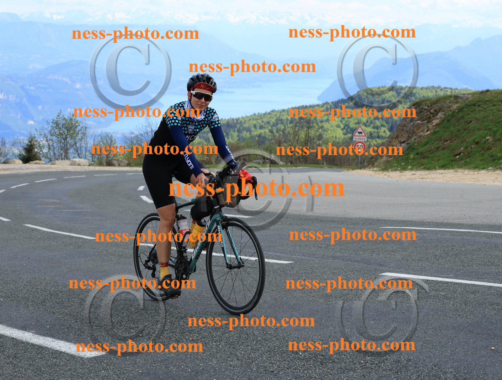 Col du grand Colombier (695).JPG