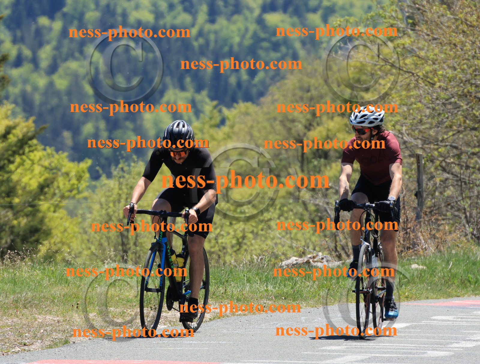 Col du Grand Colombier (443).JPG