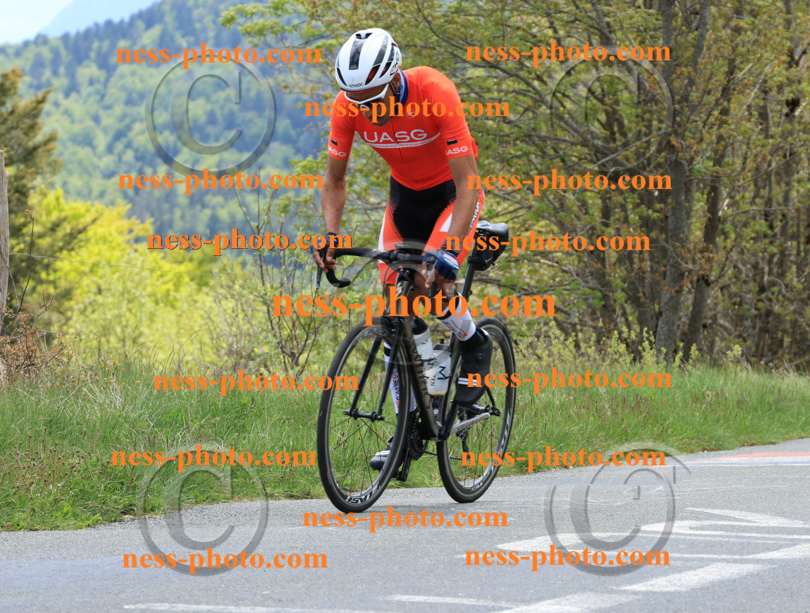 Col du Grand Colombier (498).JPG