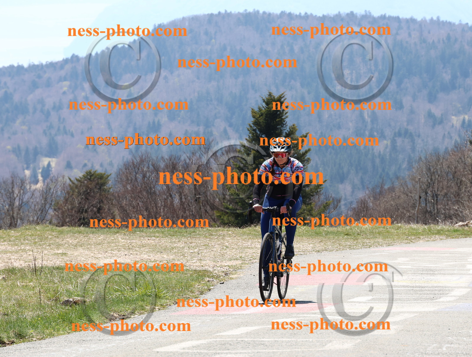 Col du Grand Colombier (242).JPG