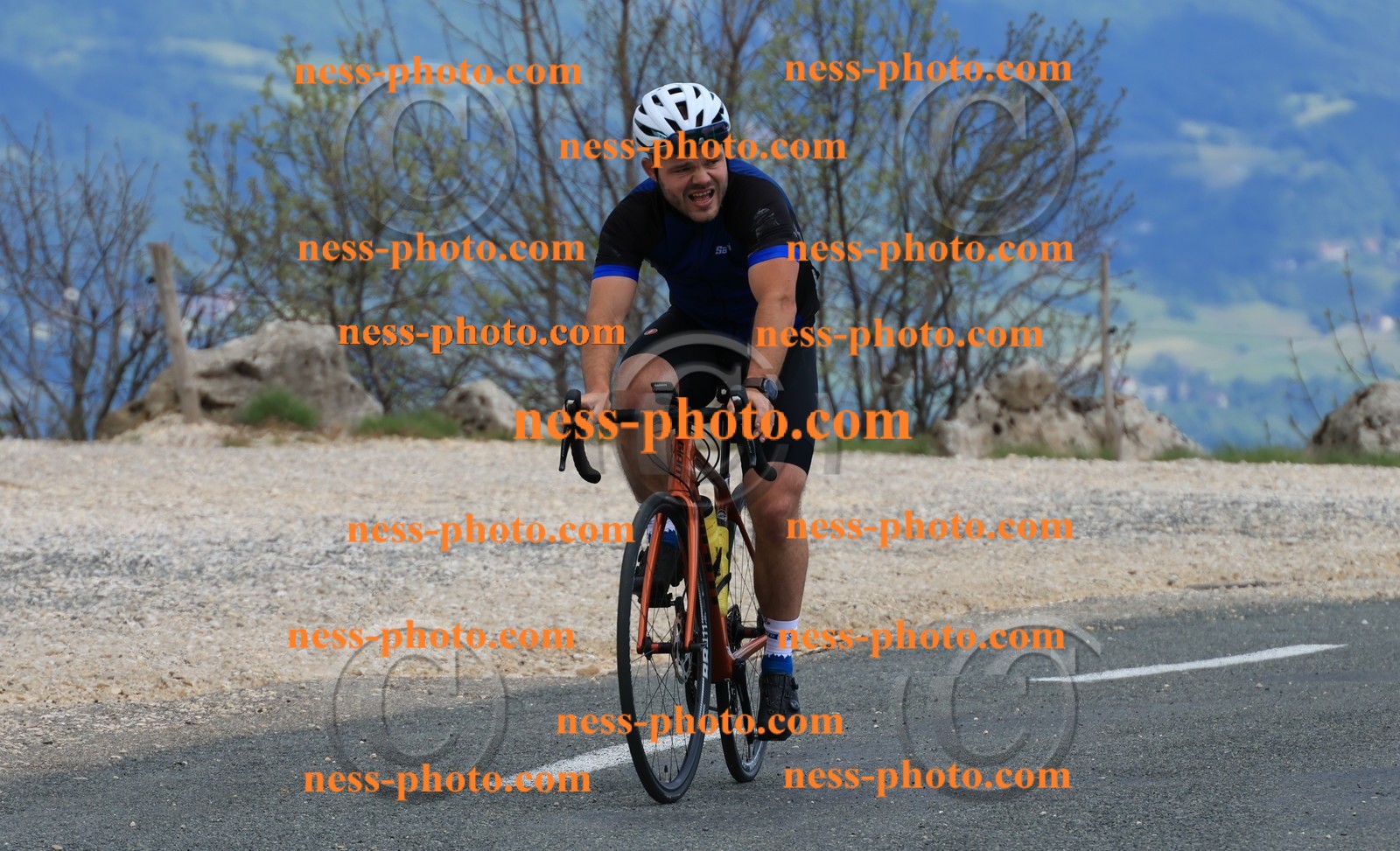 Col du grand Colombier (776).JPG