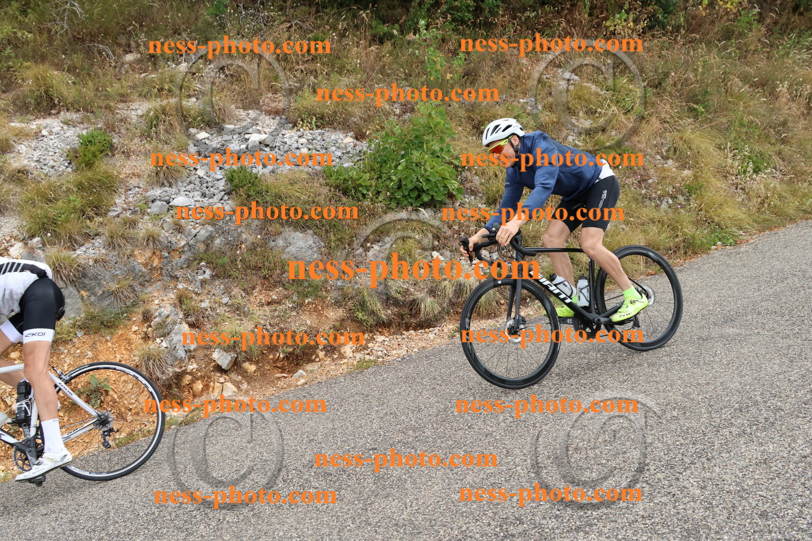 Col du Grand Colombier  (765).JPG