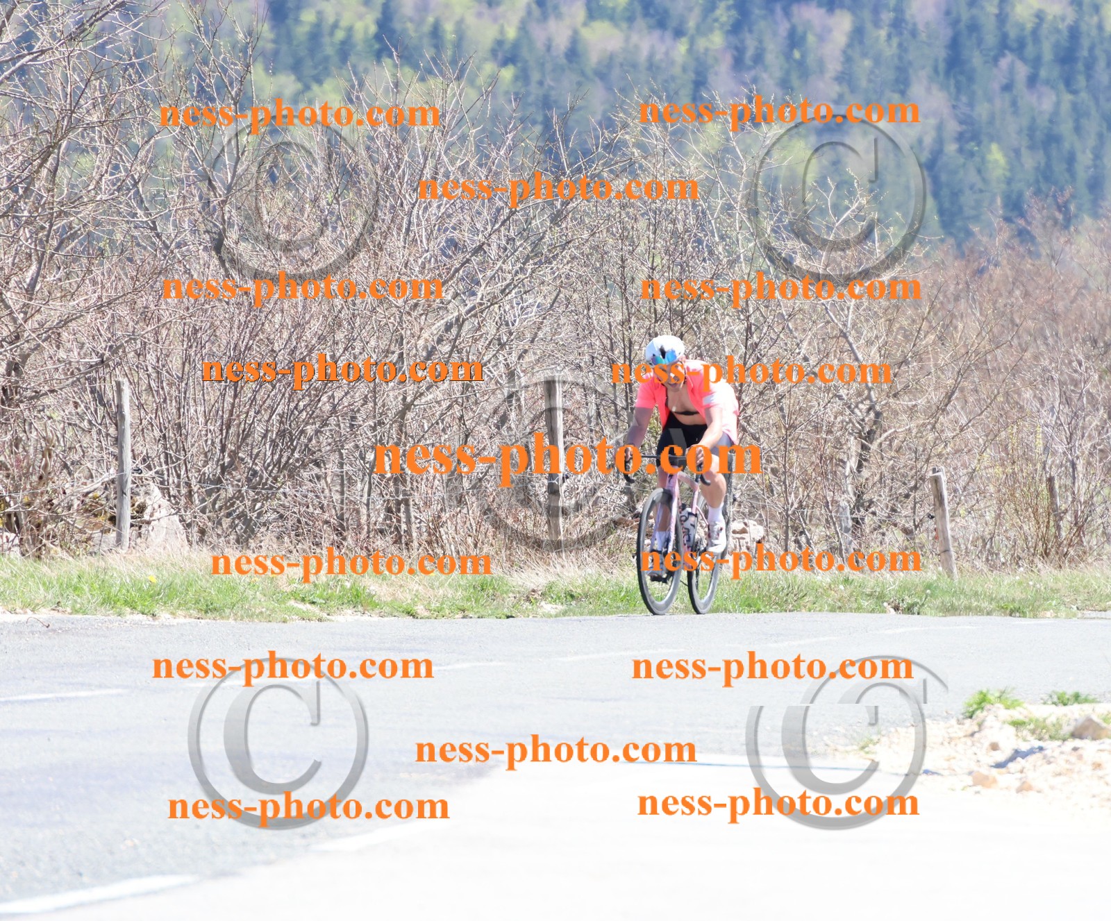 Col du Grand Colombier (950).JPG