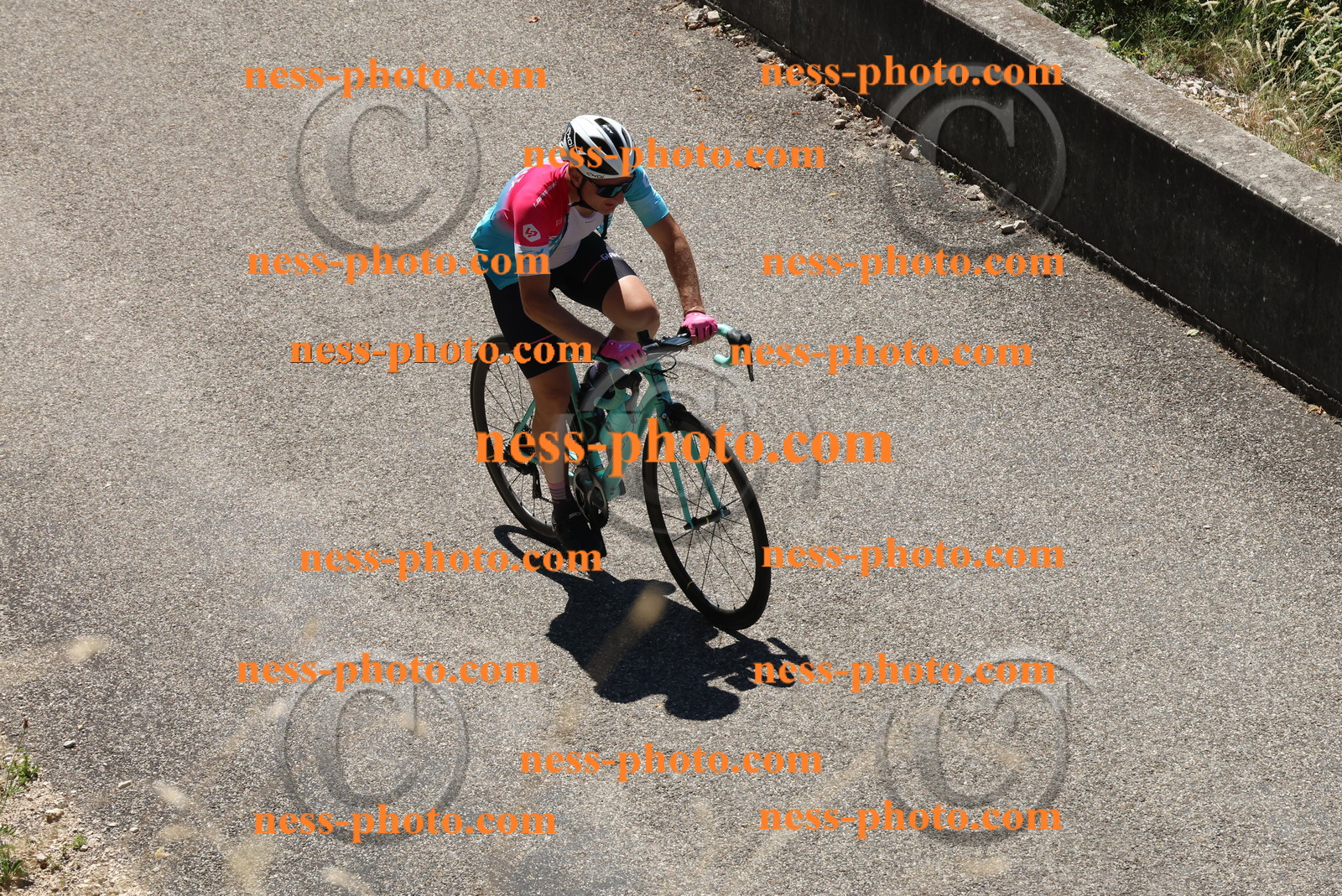 Col du Grand Colombier (434).JPG