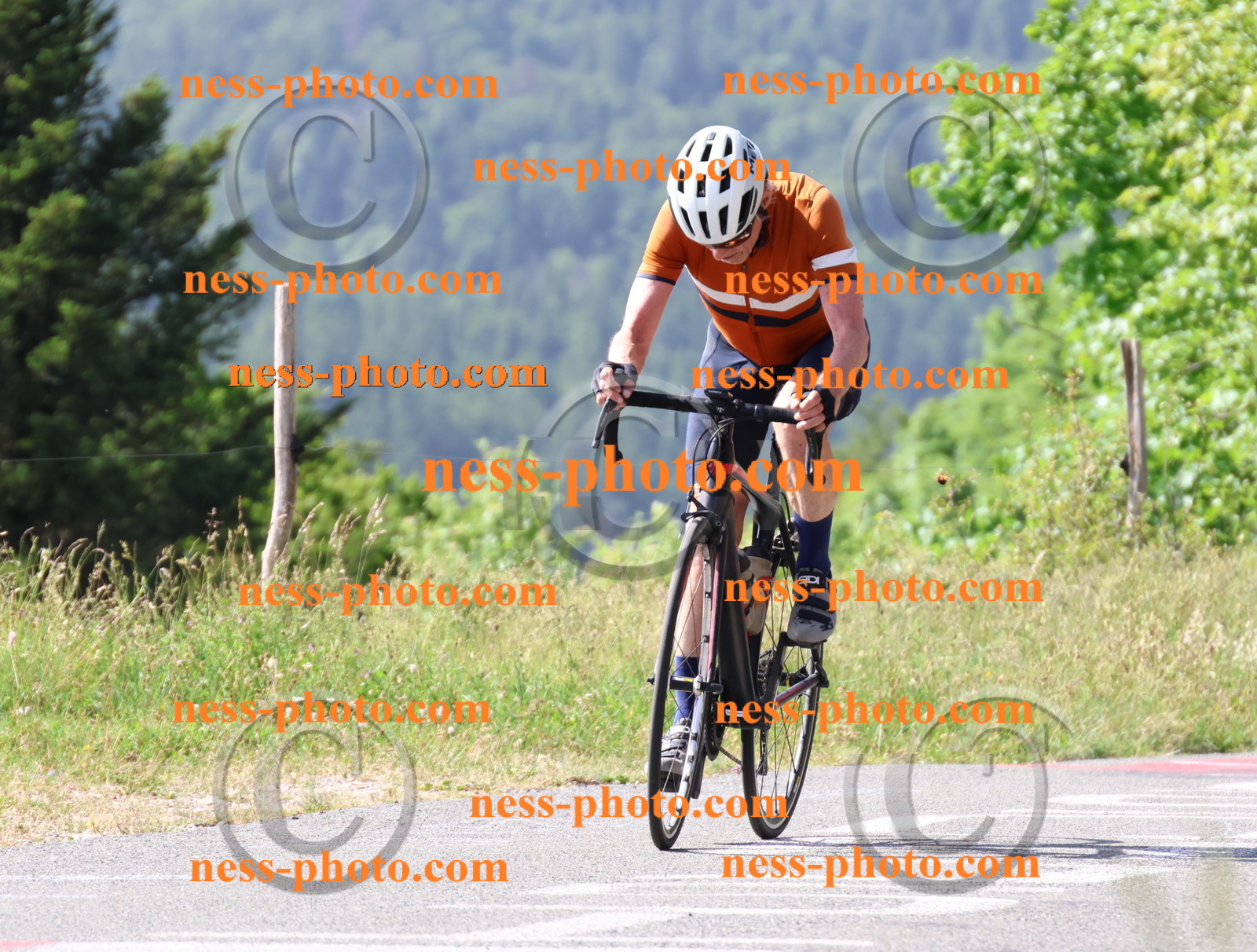 Col du grand Colombier (561).JPG