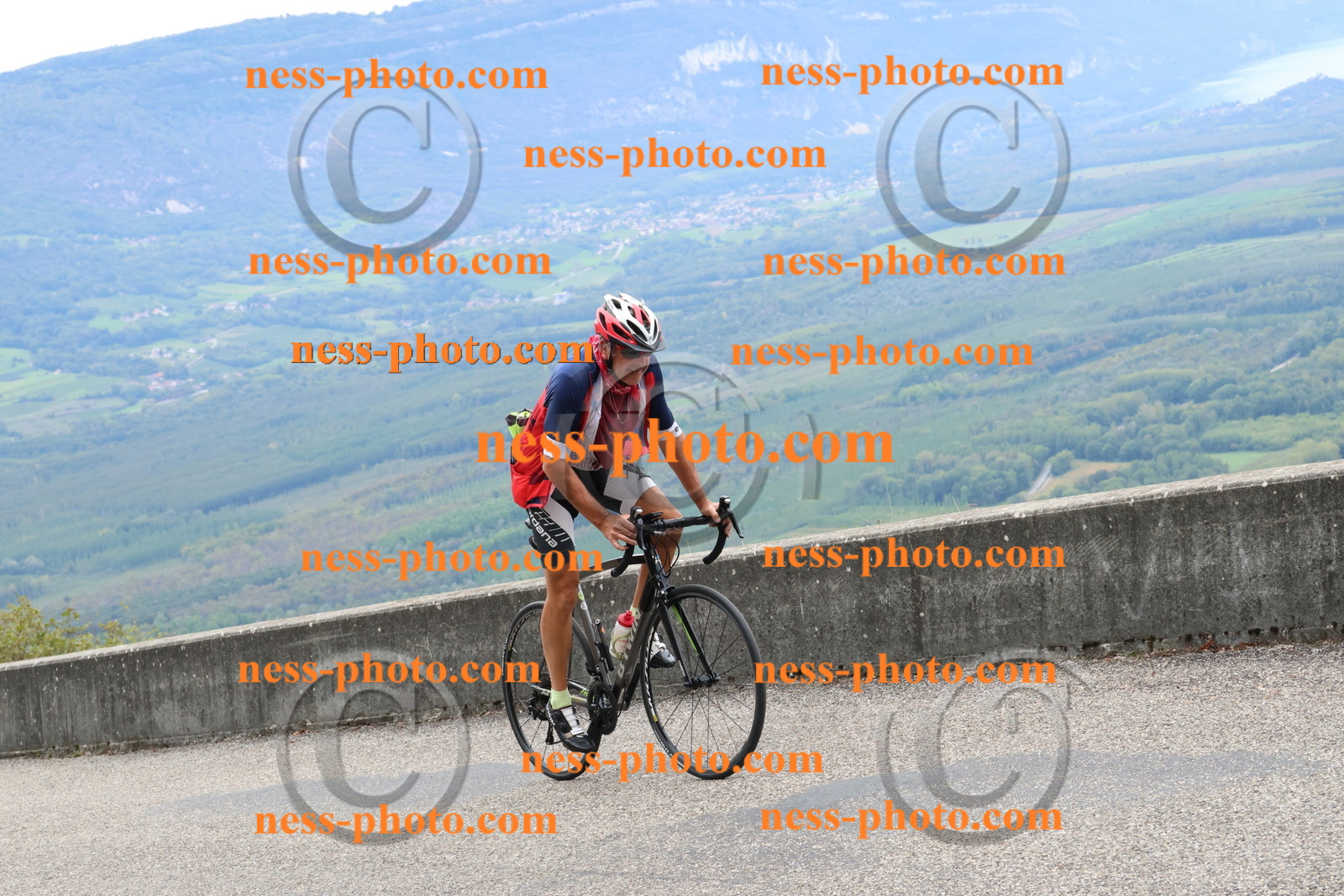 Col du Grand Colombier (2780).JPG