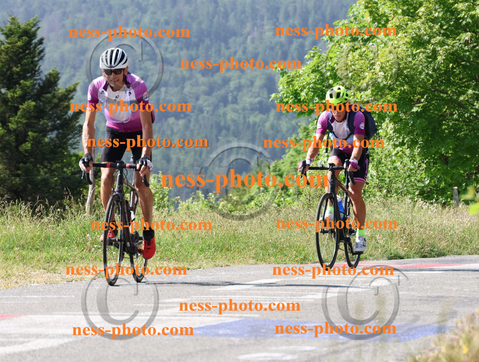 Col du grand Colombier (414).JPG