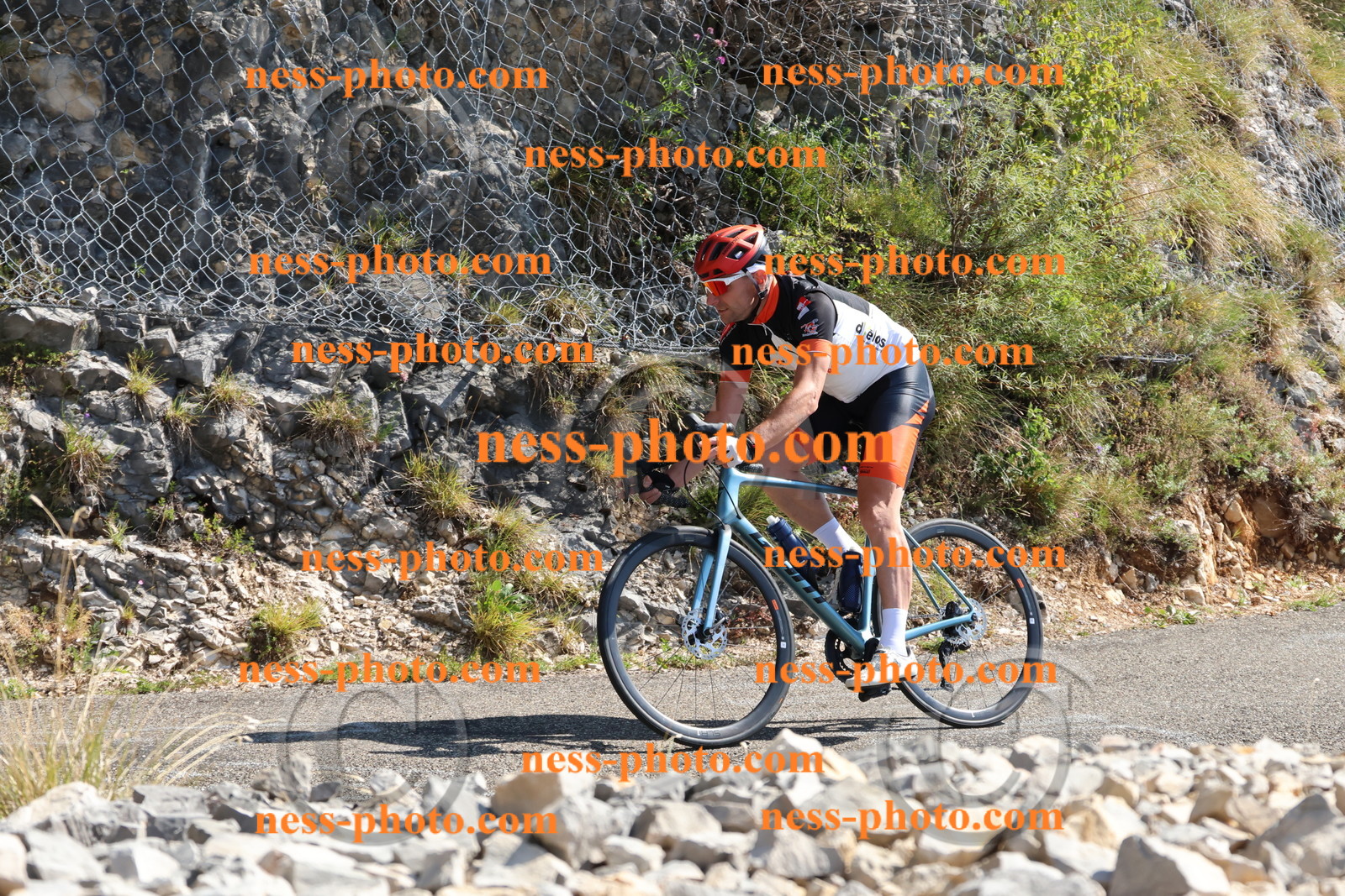 Col du Grand Colombier (400).JPG