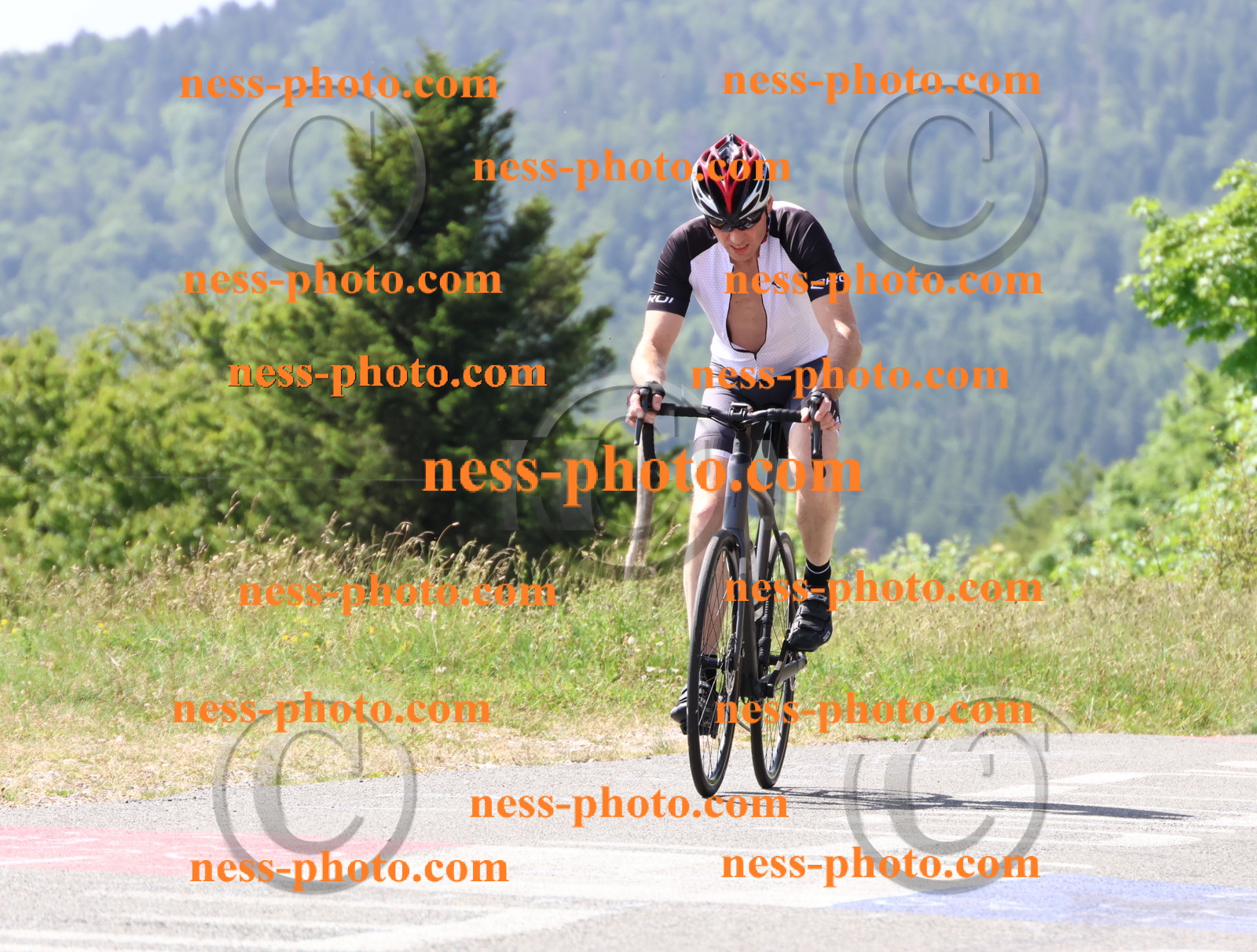 Col du grand Colombier (1333).JPG