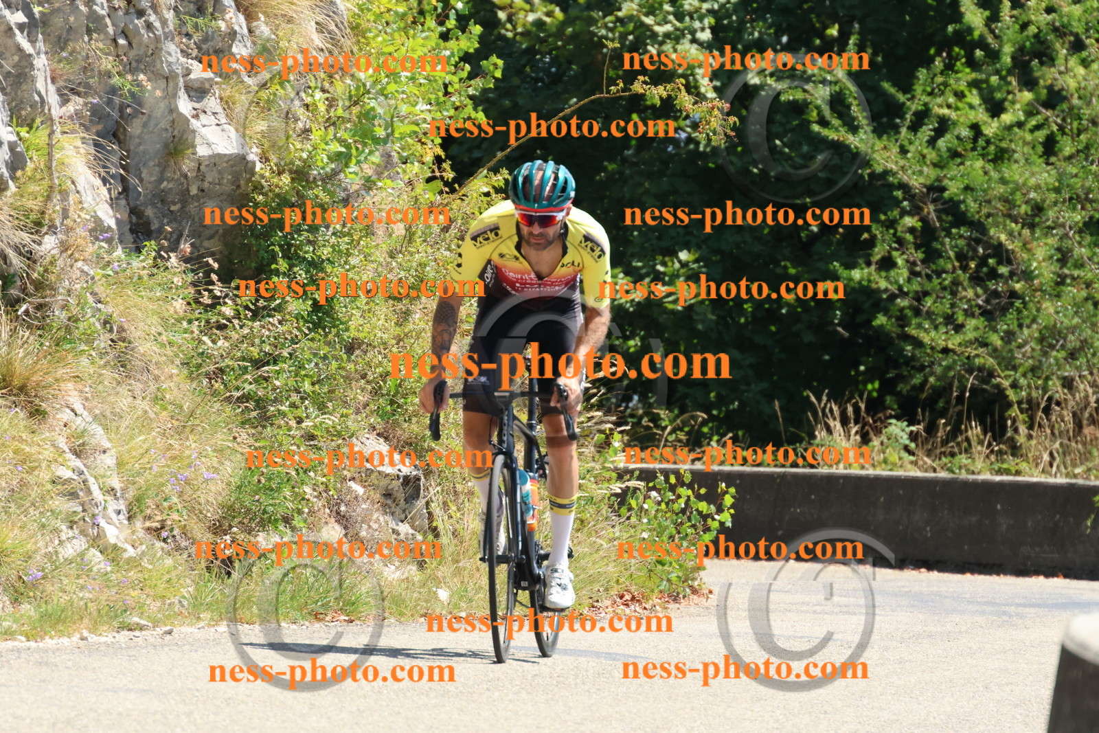 Col du Grand Colombier (445).JPG