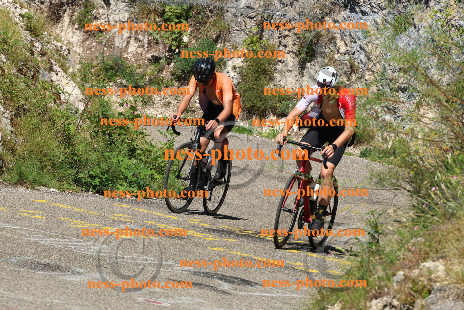 Col du Grand Colombier (421).JPG