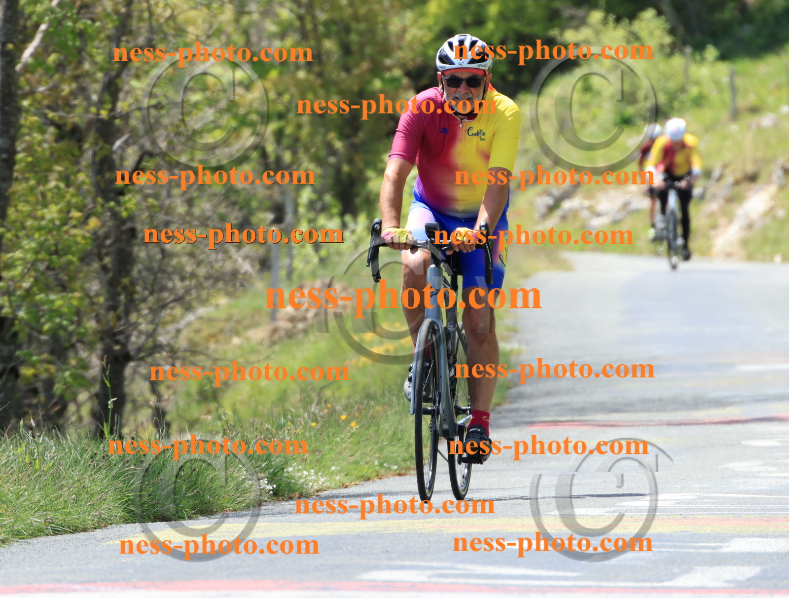 Col du Grand Colombier (201).JPG