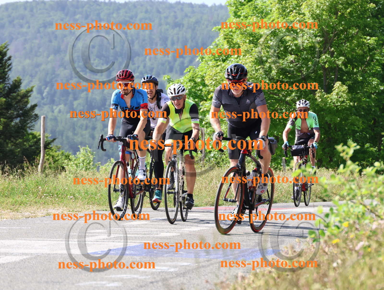 Col du grand Colombier (438).JPG