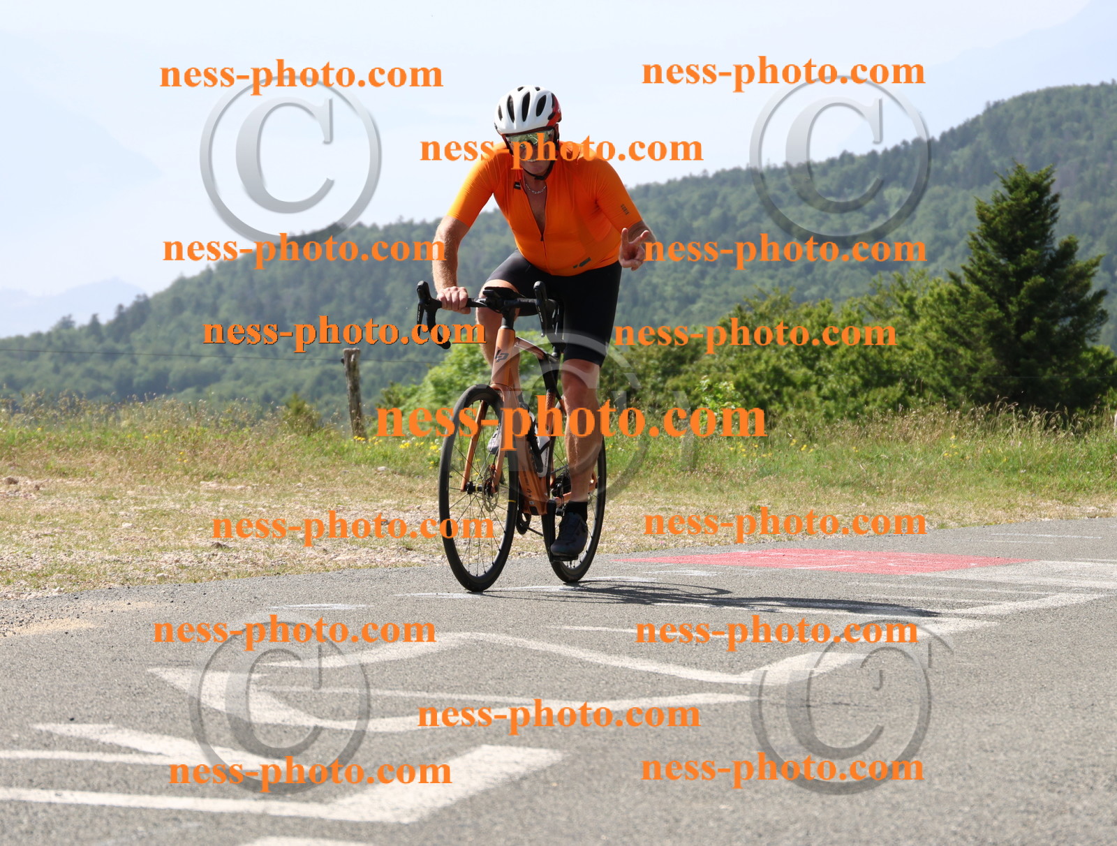 Col du grand Colombier (915).JPG