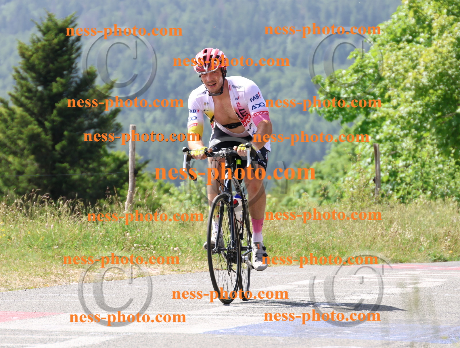 Col du grand Colombier (1357).JPG